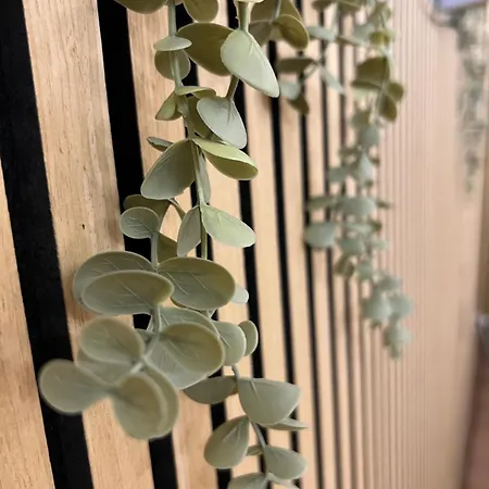 Alexander's Loft, Ortigia * סירקוזה