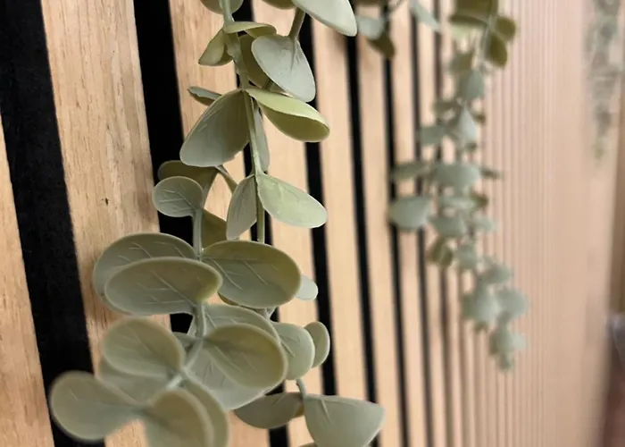 Alexander's Loft, Ortigia * Siraküza